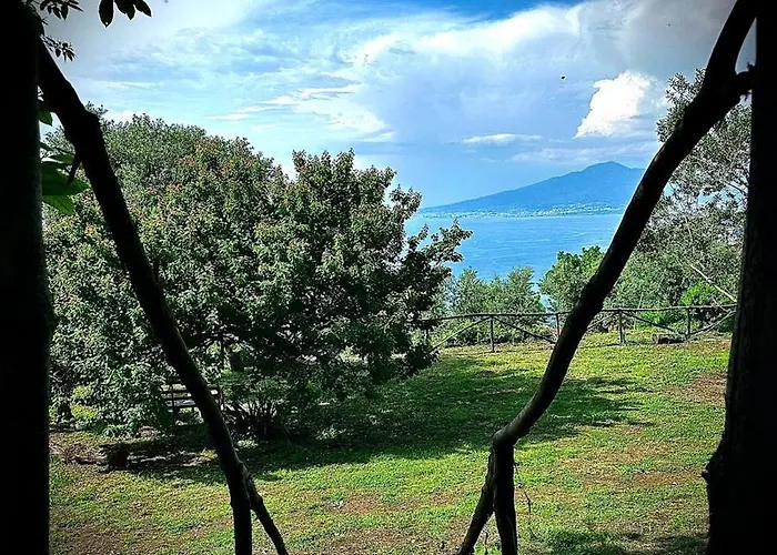 Habitat Eco Farm * Sorrento